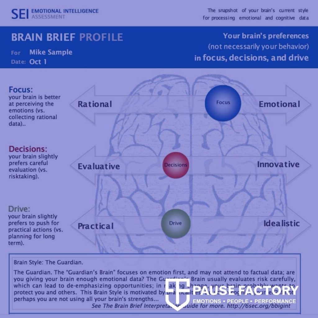Brain Brief Profile