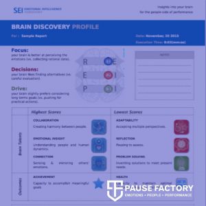 Brain Discovery Profile