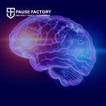 Brain Profile
