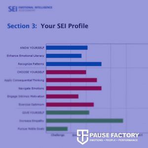 SEI Profile
