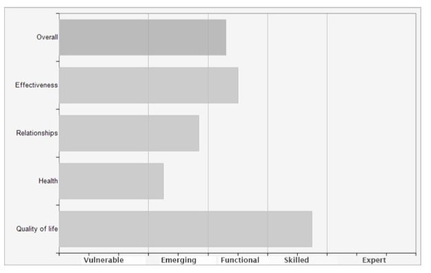 SEI Test Outcome Sample