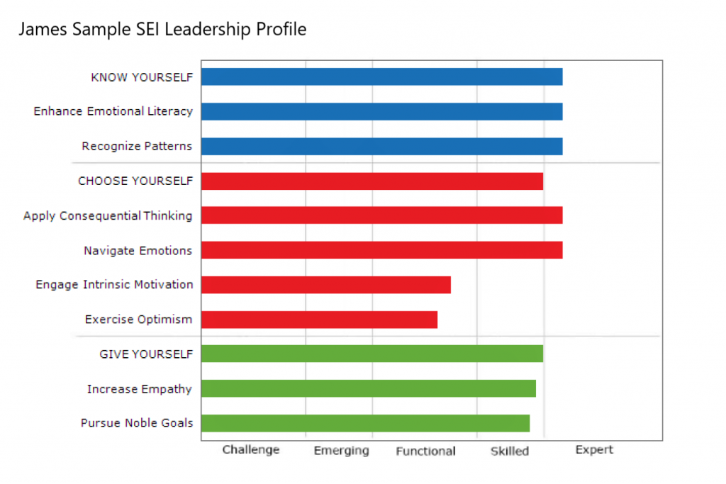 The SEI Leadership Profile