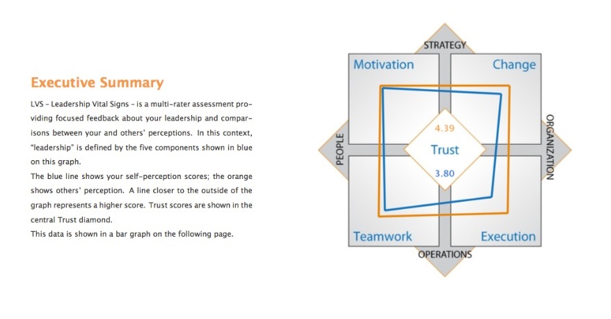 LVS Executive Summary