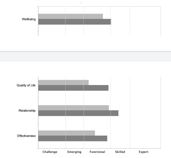 Four life outcomes that were measured pre- and post- coaching