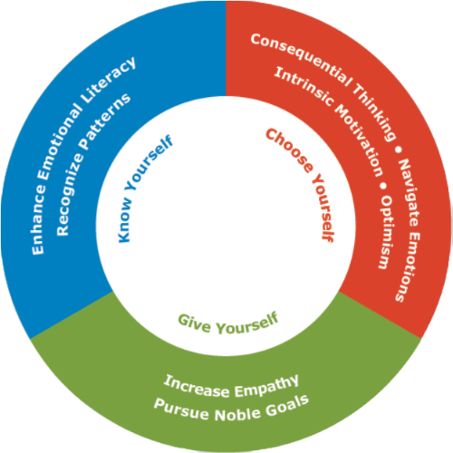 Six Seconds Emotional Intelligence Model - KCG
