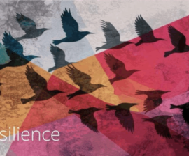 Resilience