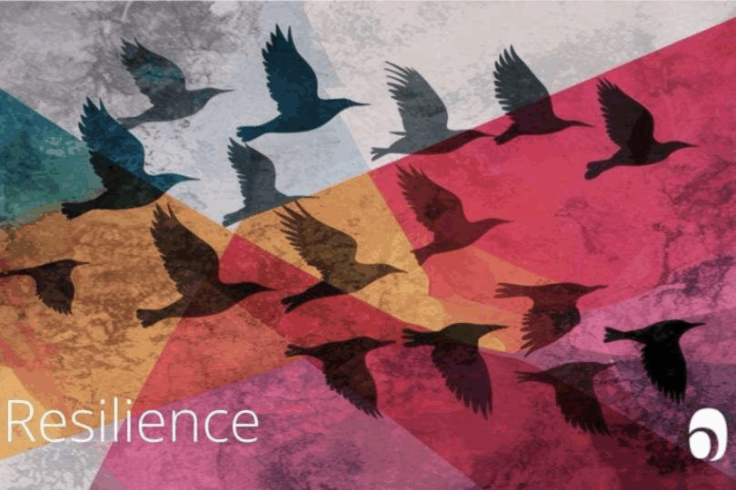 Resilience